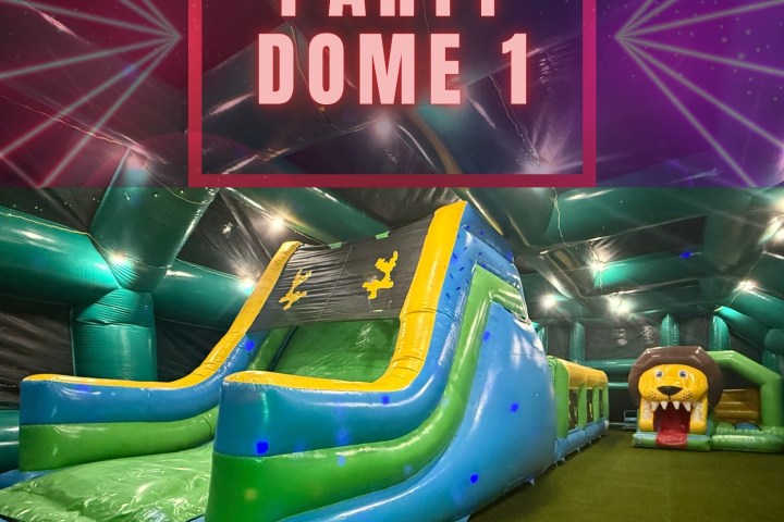 Indoor area with green inflatable slide and lion-shaped inflatable tunnel.